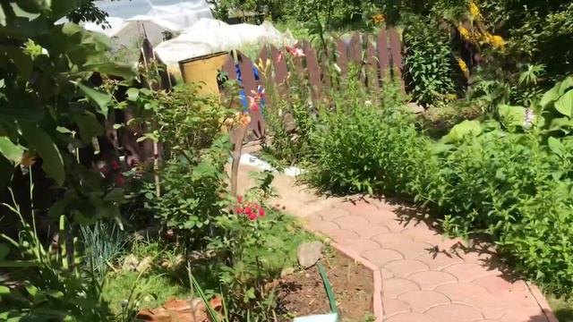 Дача / дачная жизнь / дачные дела