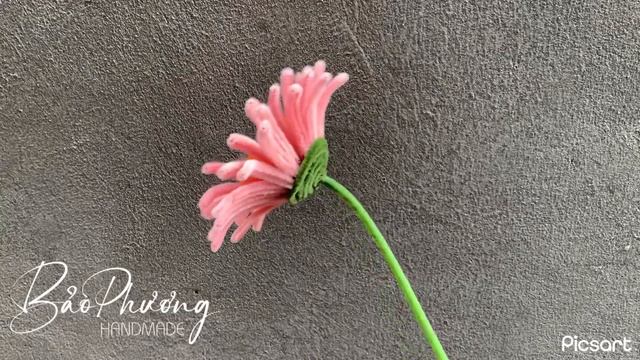 Hoa đồng tiền kẽm nhung | Gerbera by pipe cleaner/ velvet floral wire | BAOPHUONG HANDMADE смотреть онлайн