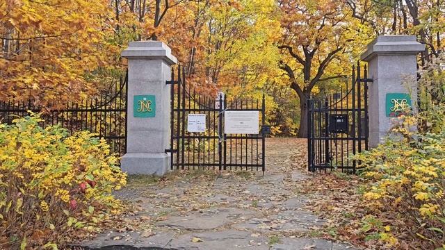 Золотая осень. Прогулка на Королевскую гору. Вид на Монреаль с птичьего полёта. Тысяча ступенек. смотреть онлайн
