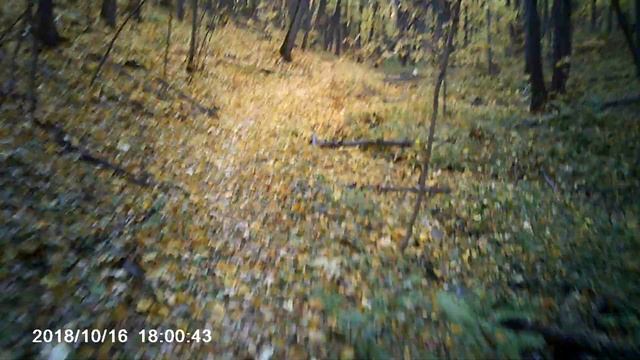 тест вело-АШАНа на спуске смотреть онлайн