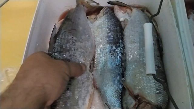 ВЯЛЕНЫЙ ЧЕБАК смотреть онлайн