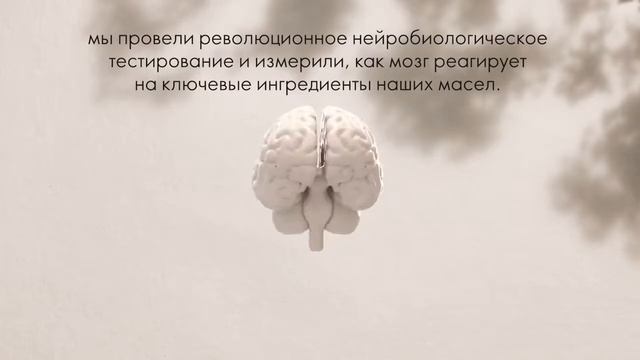 Серия Mind&Mood Уверенность смотреть онлайн