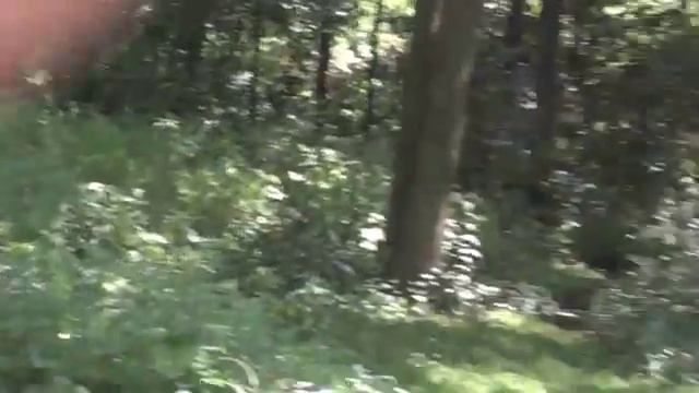 Летние КАФЕ на берегу ПЕХОРКИ в Балашихе! смотреть онлайн