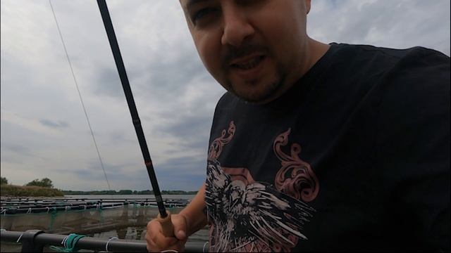 Под водой! В гостях у Осетра и Белуги смотреть онлайн