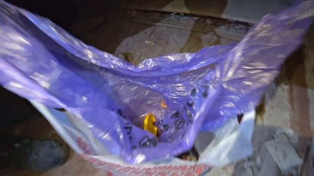 ✅Каково жить в Чернобыльской Зоне? ☢ Выживание в ЧЗО ? Рыбалка в Припяти удивила! смотреть онлайн