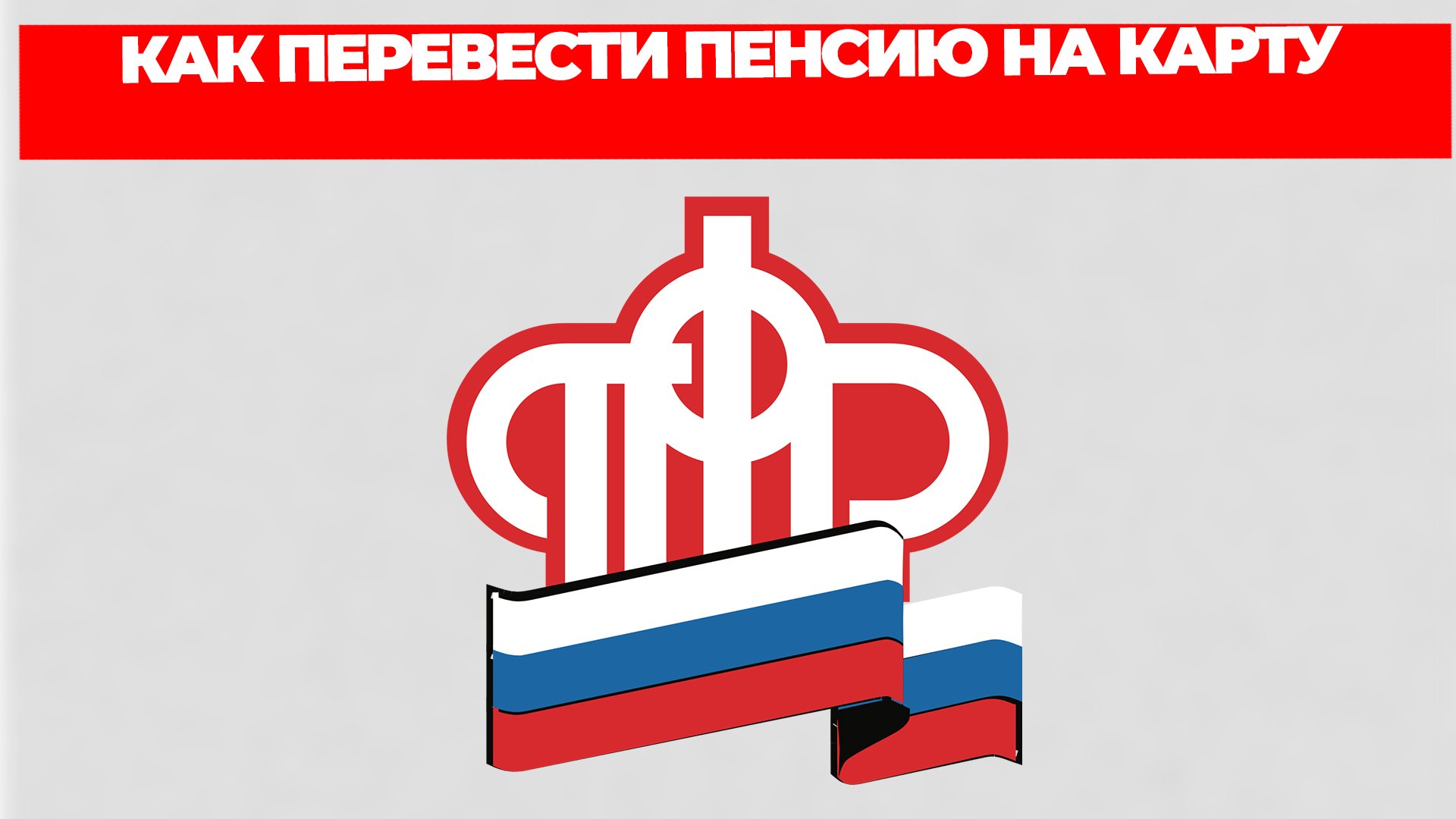 Всезнающий Енот