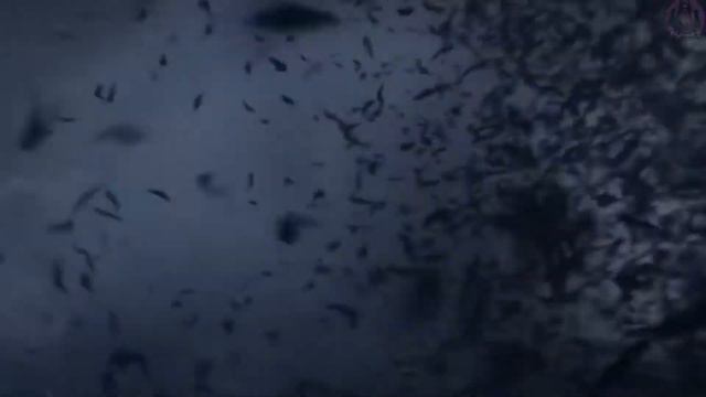 【GMV】I’ll Find A Way  TELLE @leagueoflegends