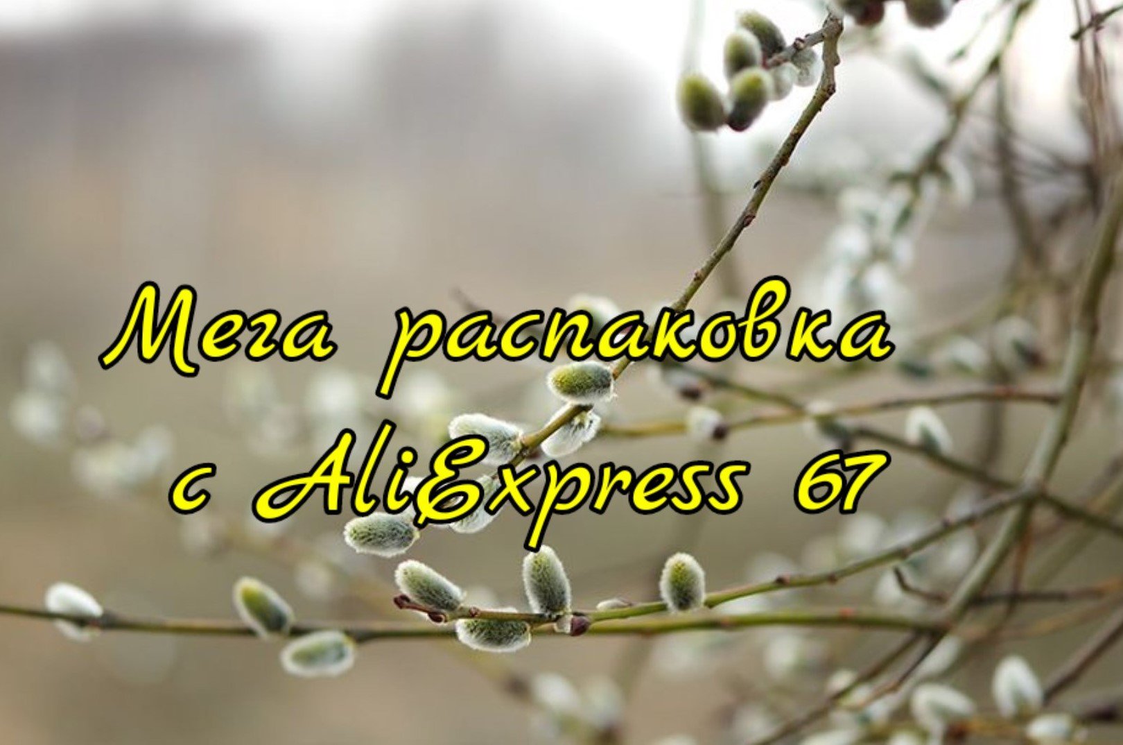 Мега распаковка с AliExpress 67.. смотреть онлайн