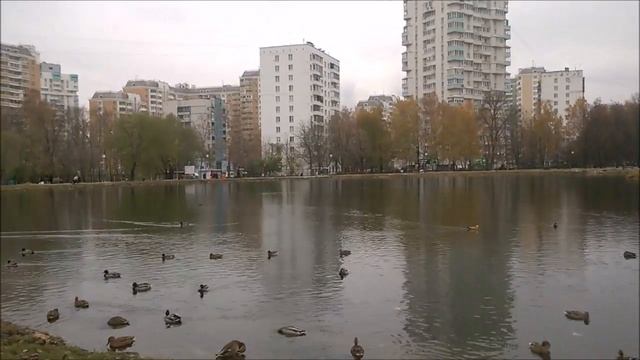 парк Ангарские пруды . Москва смотреть онлайн