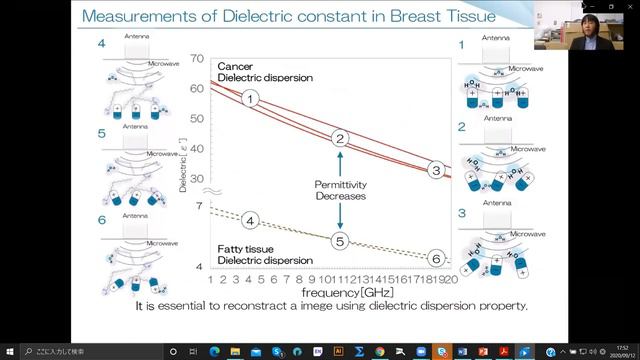 Development of microwave scattering field tomography for next-generation breast cancer screening смотреть онлайн