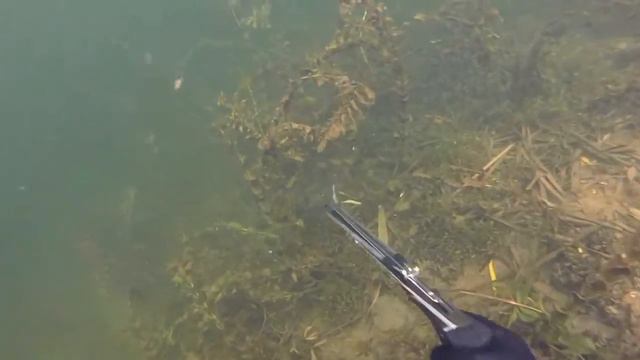 ПОДВОДНАЯ ОХОТА ВОРОНЕЖ\\\SPEARFISHING VORONEZH