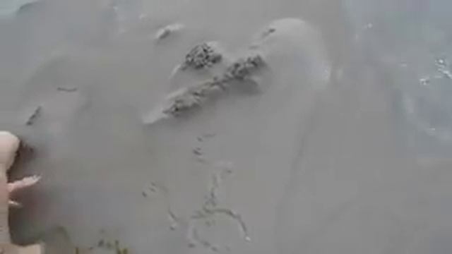 Капчагай отдых 2015 смотреть онлайн