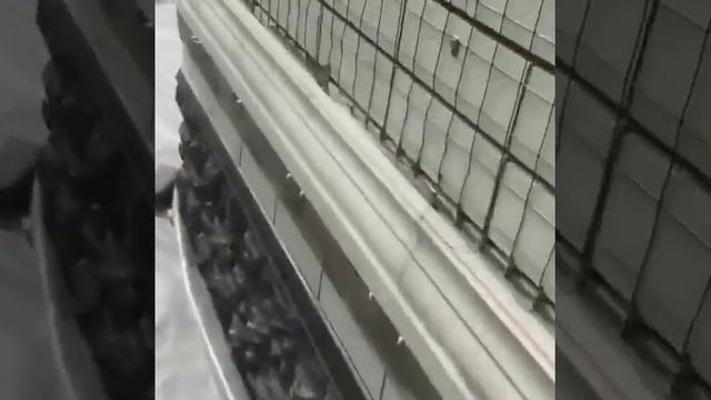 Дагестанский камень 89677777448 смотреть онлайн