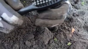 Нокта Макро Легенда - Первый выход в поле.