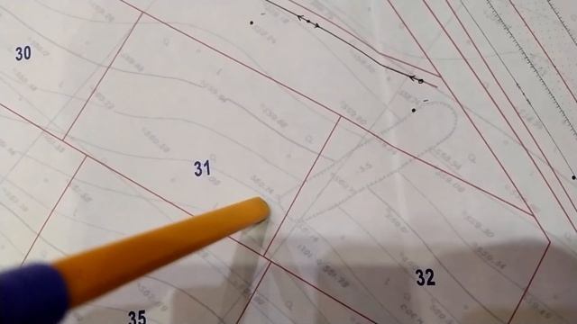 Вырубка леса на участке 2 серия смотреть онлайн