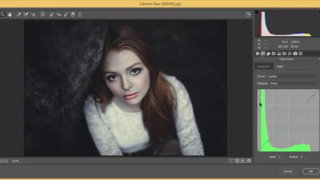 Dark Tone in Photoshop cc Tutorial | Free Preset Download смотреть онлайн