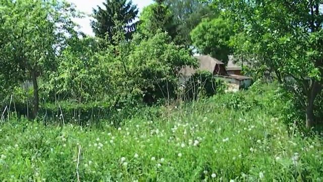 Купили приватизированный участок под строительство дачи (Винницкая обл). смотреть онлайн