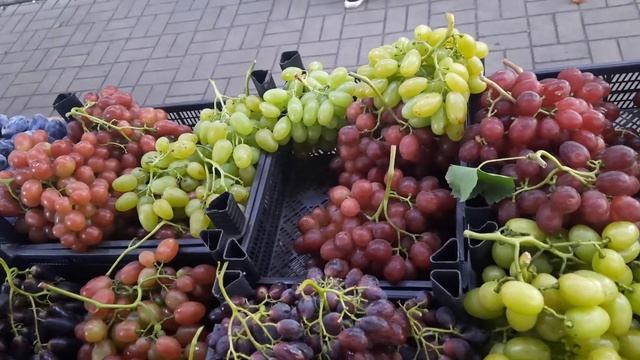 40+ сортів винограду на прилавку смотреть онлайн