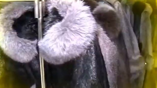 Меховые традиции май 14 смотреть онлайн