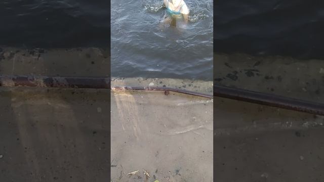 Вера и Рома купаются смотреть онлайн