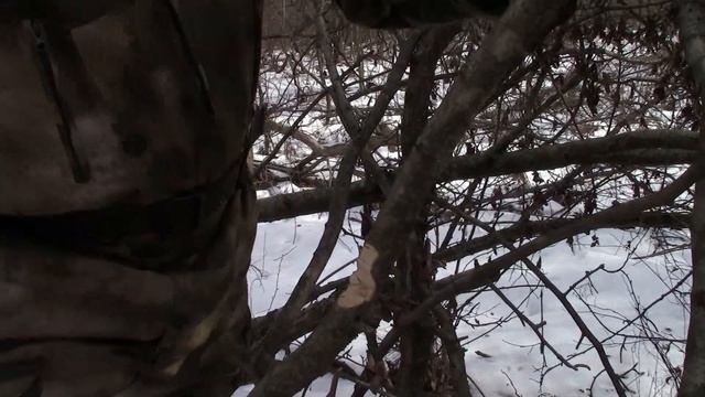 " Алтайский МС " - нож от фирмы Русский Булат .Выживание .Тест №41 смотреть онлайн