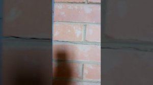 Кирпичная печь лопнула