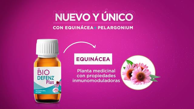 EL PODER DE LA EQUINÁCEA Y EL PELARGONIUM PARA SUBIR DEFENSAS смотреть онлайн