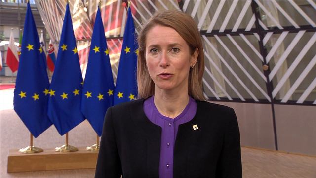 Kaja Kallas, Estonian Prime Minister is very happy with the strong response to the Belarus incident смотреть онлайн