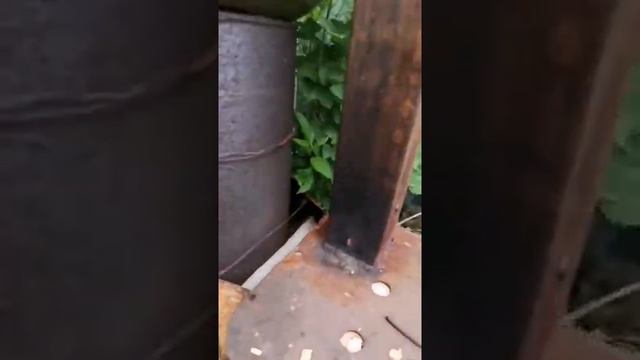дача холодное копчение дымогенератор смотреть онлайн
