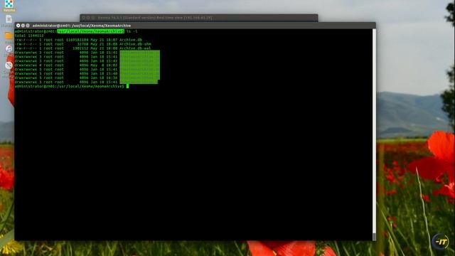 Xeoma - Insufficient free space on disk for execution of export смотреть онлайн
