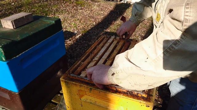 Карника, часть 1 Вроде пришла весна!!! смотреть онлайн