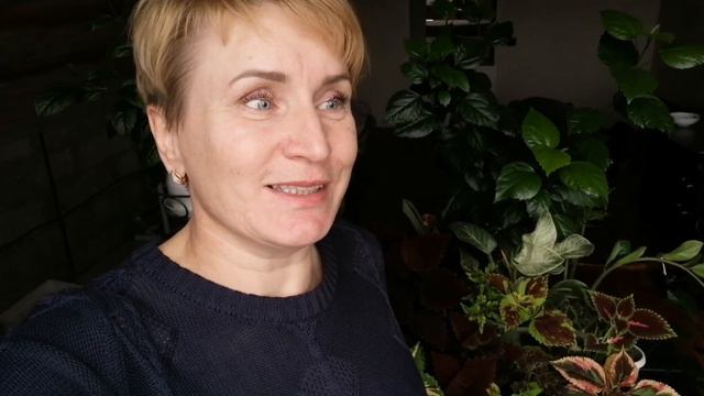 Здравствуйте вам! Знакомство + колеусы смотреть онлайн