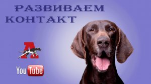 Как развивать контакт?