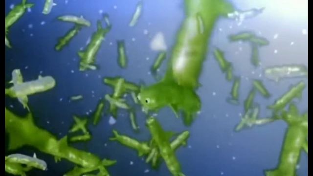 ВИДЫ БРОЖЕНИЙ И РАЗБОР ПРЕВРАЩЕНИЙ ? смотреть онлайн