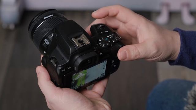 Обзор Canon 250D (камера для начинающего видеографа) отзывы на Pleer.ru смотреть онлайн