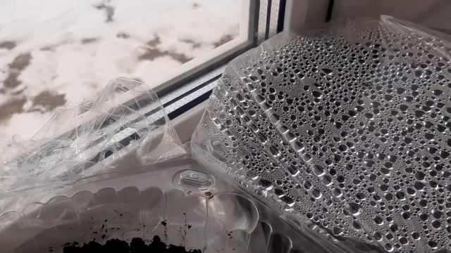 Всех мужчин с ПРАЗДНИКОМ ЗАЩИТНИКА ОТЕЧЕСТВА краткий обзор. смотреть онлайн