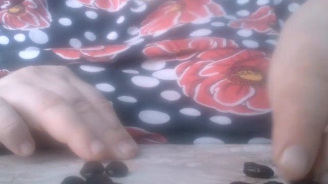 любит ли вас мужчина(гадание на бобах) смотреть онлайн