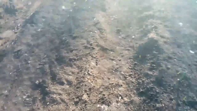 Укрываю на Зиму ПРОРОСШИЙ ЛУК Штуцгартен ПЕСКОМ. 13.11.2019г смотреть онлайн