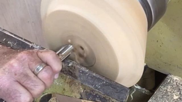 Ginkgo Biloba Bowl смотреть онлайн