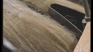 Как делают льняную ткань. Процесс изготовления ткани из льна