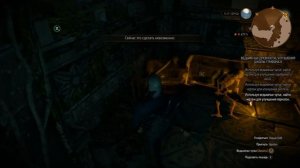 Ведьмак 3. Вопросительный знак и место силы около деревни Стёжки