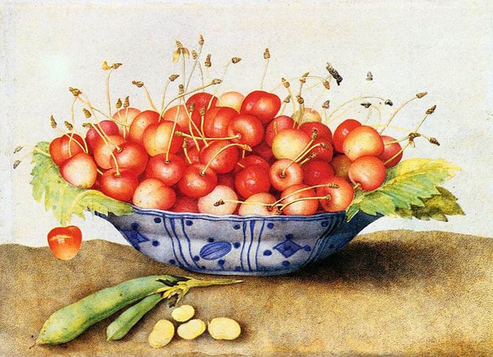 Итальянская художница Джованна Гарцони (Giovanna Garzoni) (1600 - 1670). «Светлые натюрморты» смотреть онлайн