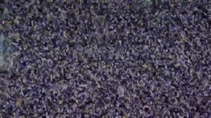 жуткий взлом канала мульт!!! (нашёл в вк).mp4