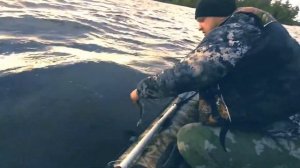 ЛОВИМ ЛЕЩЕЙ НА КОЛЬЦО (рыбалка на Волге с лодки)