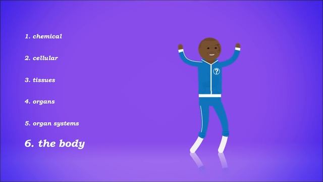 Introduction to Anatomy & Physiology: Crash Course Anatomy & Physiology #1 смотреть онлайн