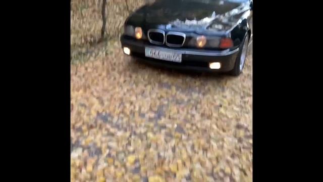 GOGYCH_DRIVE. BMW E_39. БМВ ДЕЛЬФИН.#bmwe39#бмве39#bmw#e39#bmwclubalmaty#almaty#sport#car#тачки