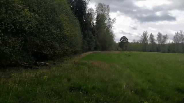 Московская область Тучково Пеший маршрут на остров смотреть онлайн