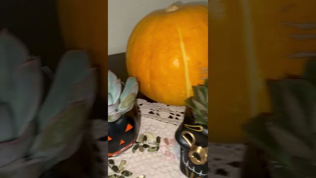 Ольга Минченко  дизайнер пространства