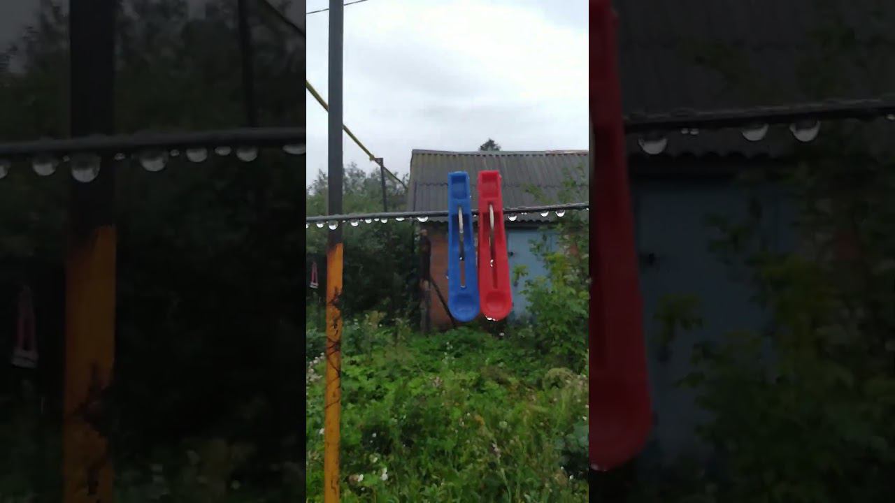 5 августа 2024 г. смотреть онлайн