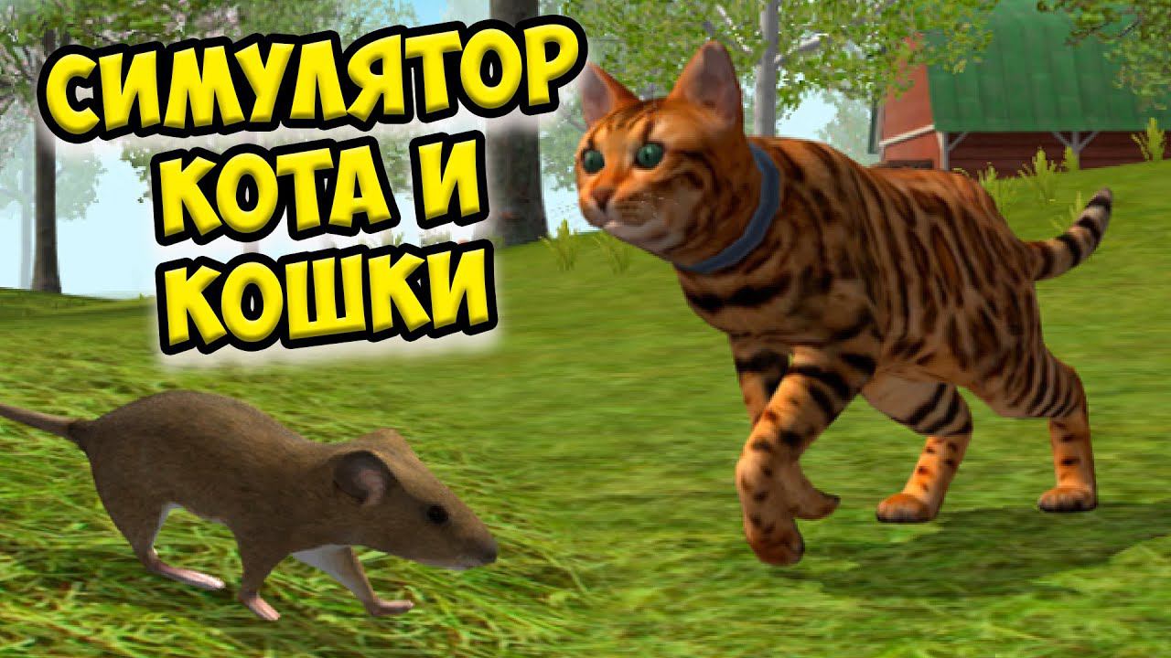 Симулятор КОТА и КОШКИ Босс енот в СИМЕ cat sim смотреть онлайн